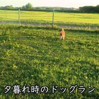 元気いっぱいなわんこに！！