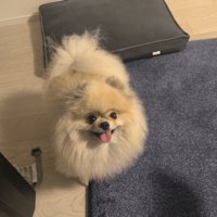 あざと可愛い