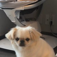 いつも赤ちゃんのそばに！