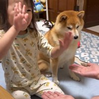 手遊びを見るすずちゃん2
