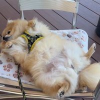 ぬいぐるみのよう♡
