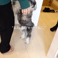 飛びついて熱烈大歓迎！
