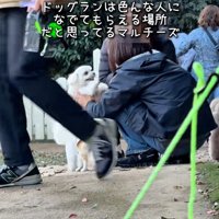 撫でられて笑顔のおもちくん