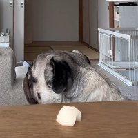考えるぽこちゃん