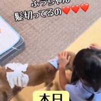 嬉しそうな女の子