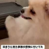 ドコモダケが気に入ったようです♪