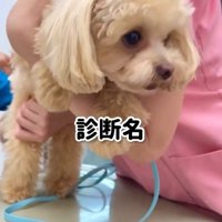 下された診断結果は…