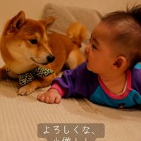 見つめあうふたり