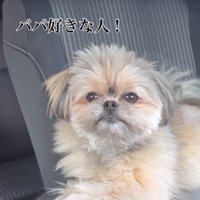 こんぶちゃんにパパとママを好きか聞いたら6