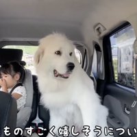 ろのちゃんが好きすぎて