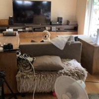 ふとソファを見たら…