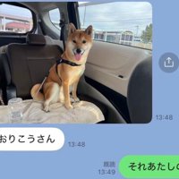 車内のふうたくん