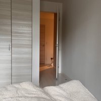 ひょっこり