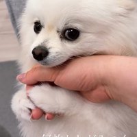 「これでおしまいね？」