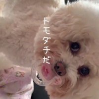 一緒に育ってきたふたり