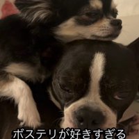兄弟のような関係