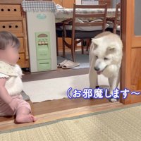 ちょっぴりオドオド