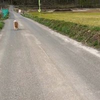 パパが1ヶ月半ぶりに帰宅