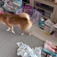 「場所を変えたいな～」とウロウロ