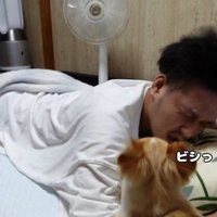 二度寝したら、怒ってビンタ！