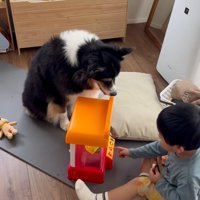 じっと見続けるレアちゃん