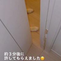 ドアを開けるママ