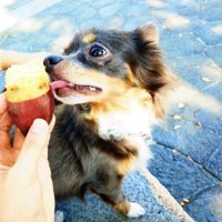 大好きなお芋をパクリ