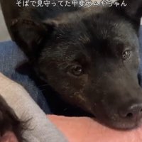 ツムギちゃんと娘さん