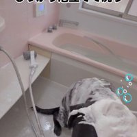 シャンプーで体を洗い…