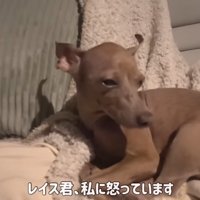 「僕、今日はひとりで寝る！」