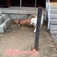 2度目のダイブ！