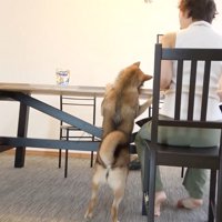 ママさんから離れません
