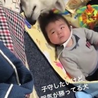 ついつい安心しちゃう