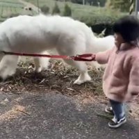 匂いを確かめる犬とリードを持つ子ども