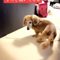 名前を呼んでみると…