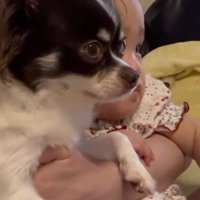 テレビ番組を観ていた