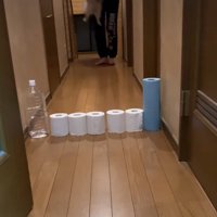 トイレットペーパーチャレンジに挑戦