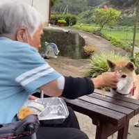 ひとくちお裾分け