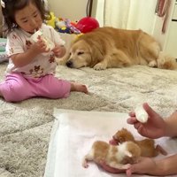 一緒にミルクを飲む一幕も♪
