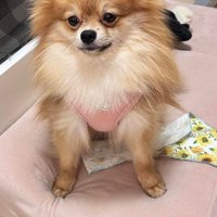 雨の日のるーくんは…