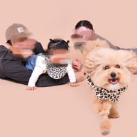 躍動感のあるポテチくん