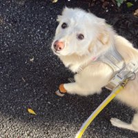 緊張した面持ち