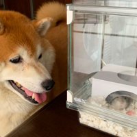 いつでも見守っている