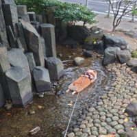 食パン