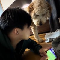 はうるくんに気づいたお兄ちゃん