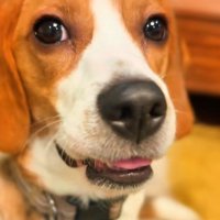 とっても素敵な笑顔も♡