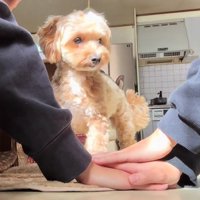 「こうするの？」