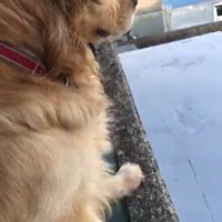 真剣な顔に豹変！！