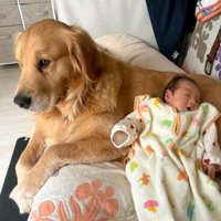 素敵なお兄ちゃんになった