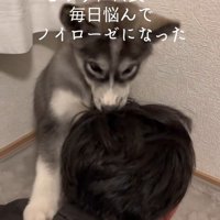 はまちちゃんの成長記録4